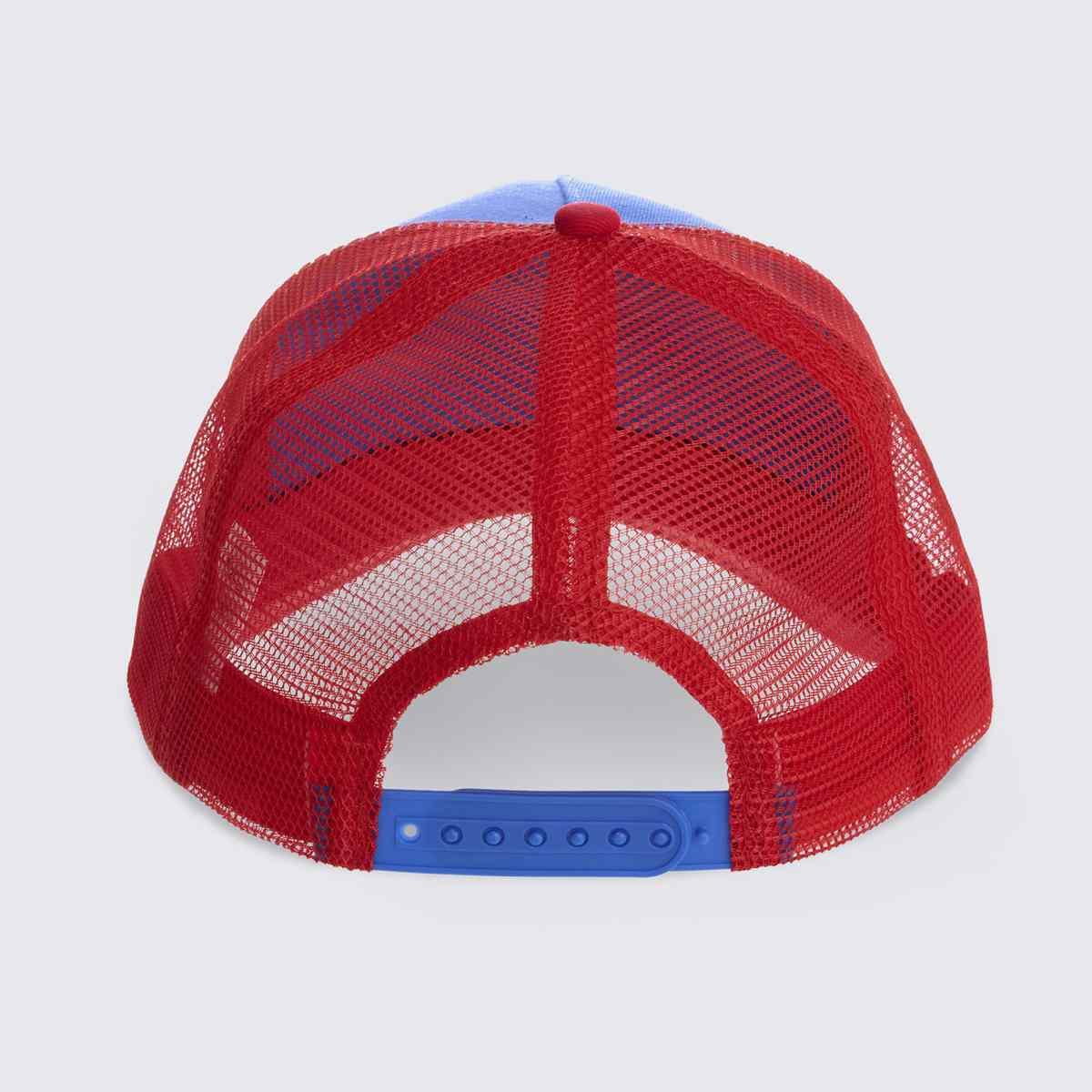 Zumba Love Curved Brim Mesh Cap